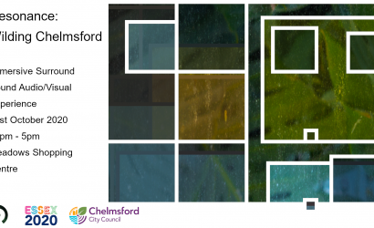 Resonance: Wilding Chelmsford. 301st October. Audiovisual installation. Meadows Shopping Centreh